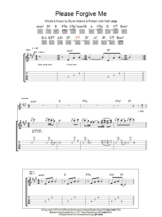 Produktgalerie: Seite 1 von 1 Please Forgive Me, Bryan Adams, Gitarre