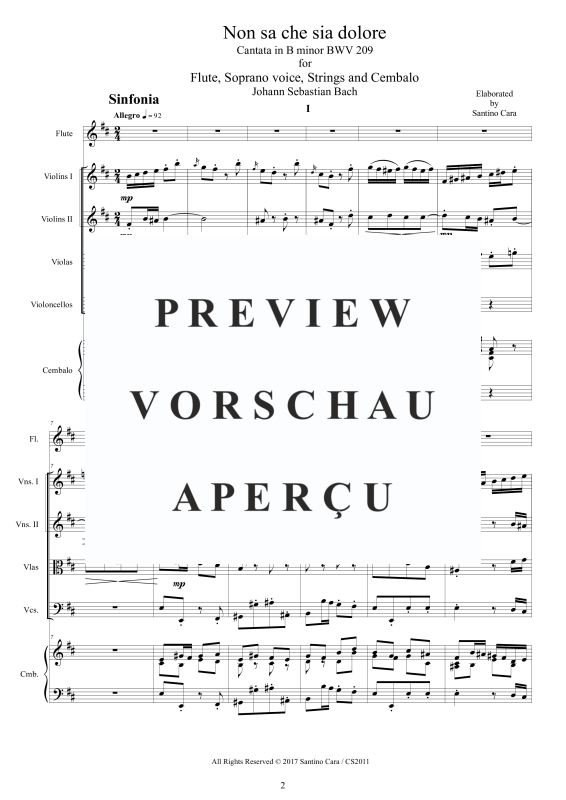 Product gallery: Page 3 of 11 Non sa che sia dolore - Cantata BWV 209, , Mixed Ensemble Soprano, Flute, Strings and Harpsichord Bc