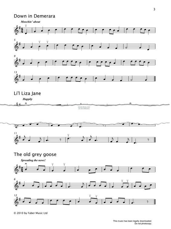 gallery: The Old Grey Goose, American Traditional, Violine