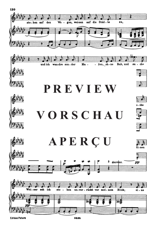 gallery: Der Wegweiser D.911-20 (Winterreise) , , . (Gesang tief + Klavier)