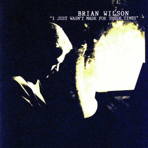cover: Wonderful, Brian Wilson, Gesang, Gitarre, Klavier