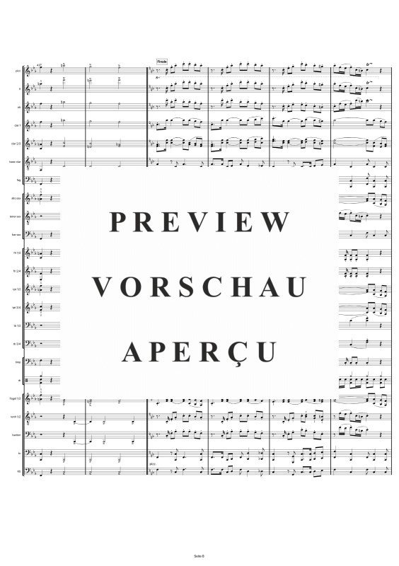 gallery: Gruß an Bad Füssing, , Großes Blasorchester