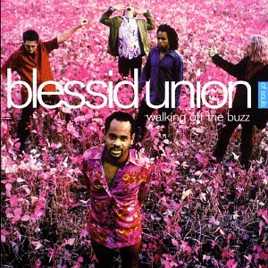 cover: Hey Leonardo (She Likes Me For Me), Blessid Union Of Souls