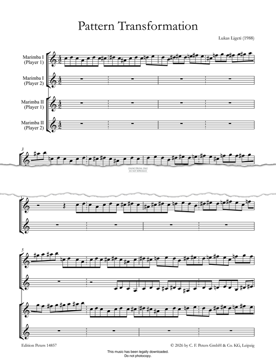 Product gallery: Page 1 of 1 Pattern Transformation, Lukas Ligeti