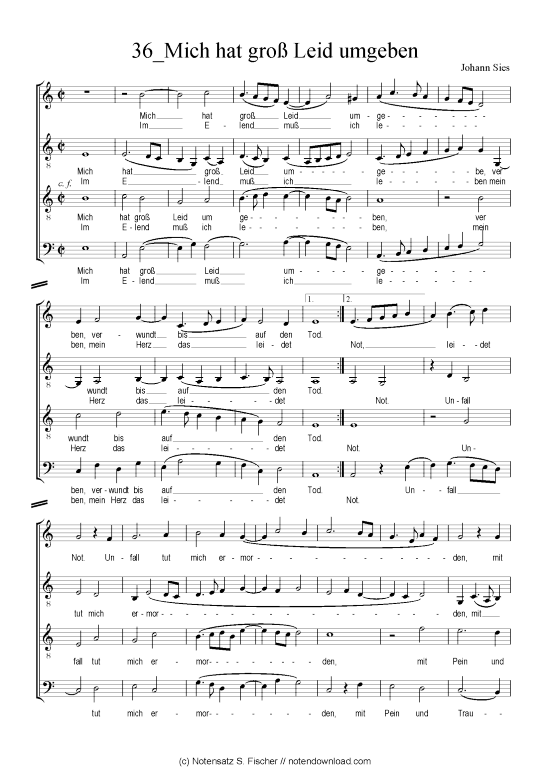Produktbild zu: Mich hat groß Leid umgeben Johann Sies