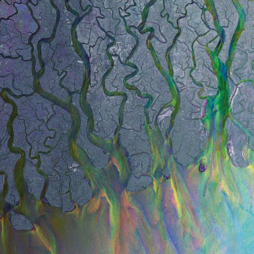 cover: Matilda, Alt-J, Gesang, Gitarre, Klavier