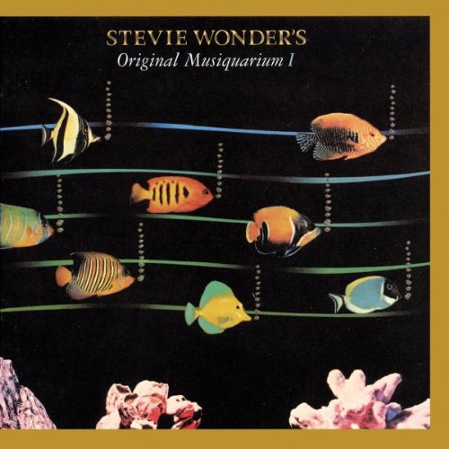 cover: Do I Do, Stevie Wonder