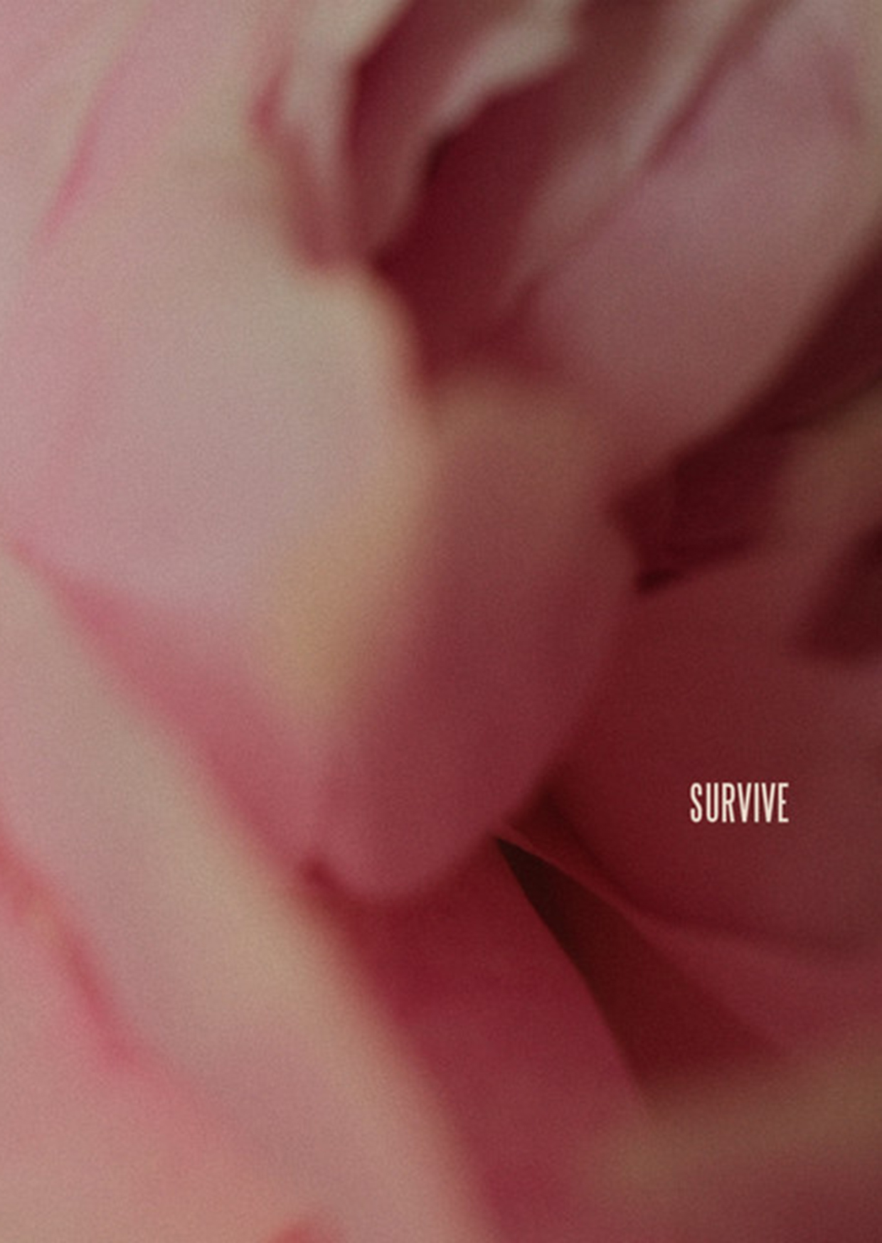 Produktbild zu: Survive