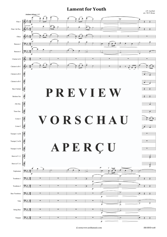 Produktgalerie: Seite 6 von 11 Lament for Youth, , Concert Band