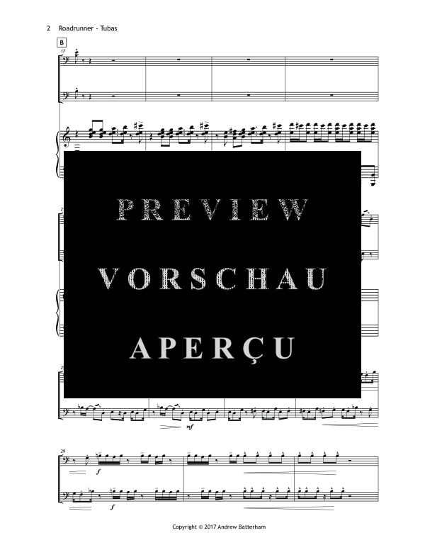 Produktgalerie: Seite 6 von 11 Roadrunner, , (2x Tuba und Klavier)