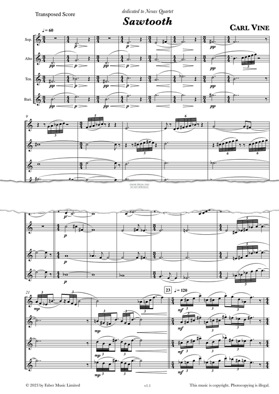 Product gallery: Page 1 of 1 Sawtooth, Carl Vine