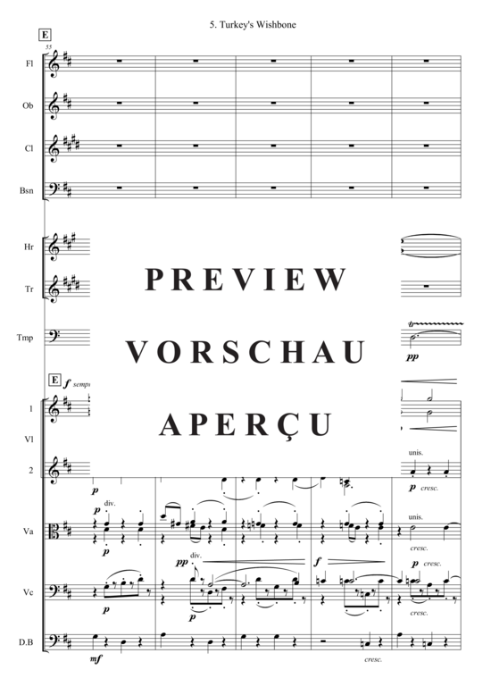 gallery: Turkey´s Wishbone (Kammer Orchester) , , (Bläser, Streicher + Pauken)