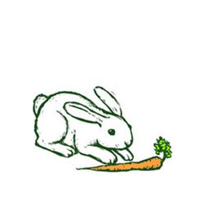 cover: Oh, John The Rabbit, Robert I. Hugh, Chor