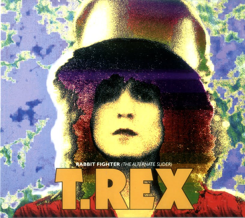 cover: Telegram Sam, T Rex, Gitarre