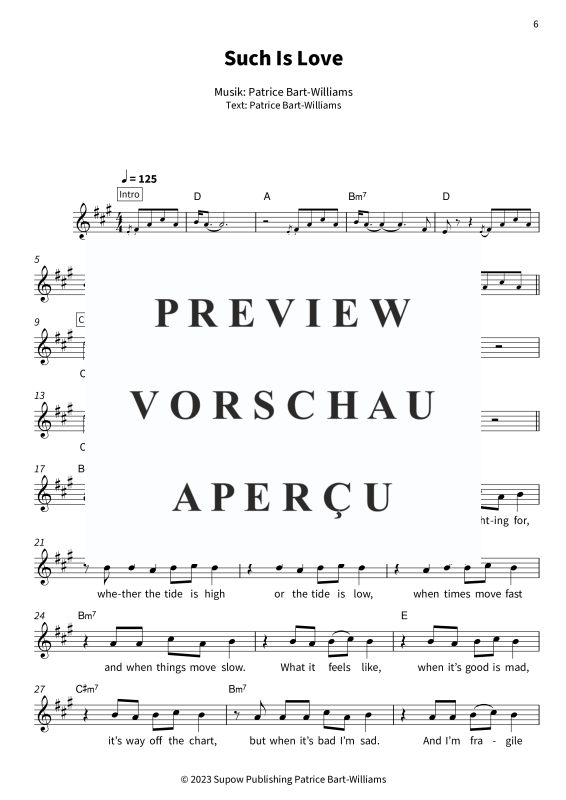 Produktgalerie: Seite 8 von 11 Sunlit Soul - Leadsheets von Patrice, Patrice, Gesang & Akkorde