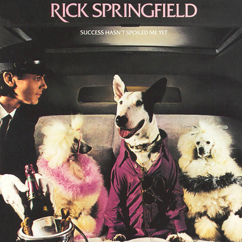 cover: Don't Talk To Strangers, Rick Springfield