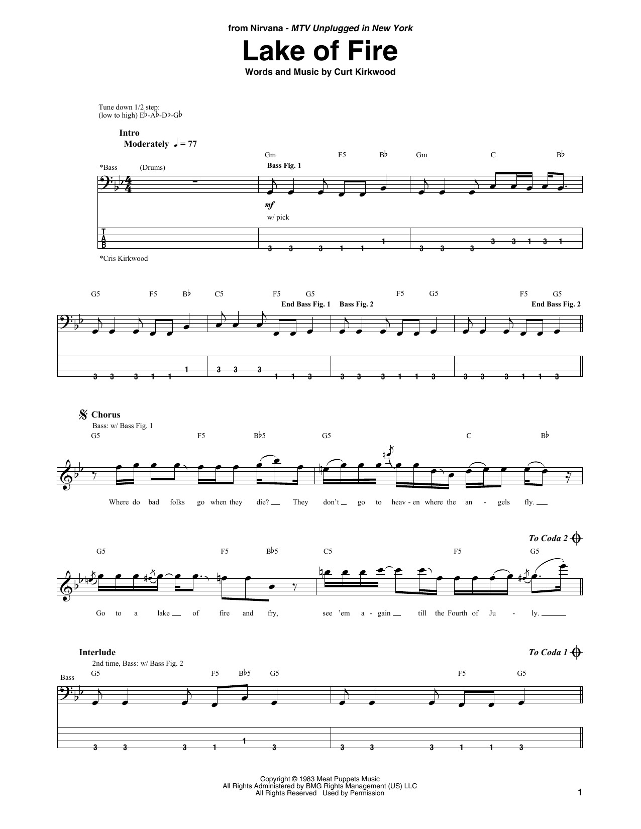 Produktgalerie: Seite 1 von 1 Lake Of Fire, Nirvana, E-Bass