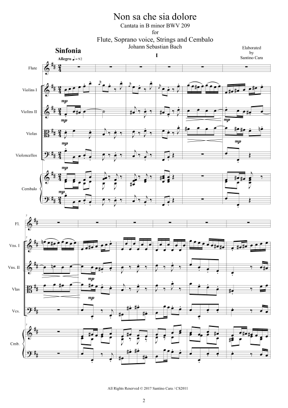 Product picture to: Non sa che sia dolore - Cantata BWV 209Johann Sebastian Bach