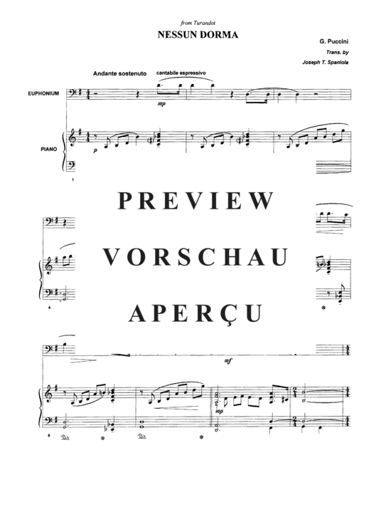 gallery: Nessun Dorma , , (Euphonium + Klavier)