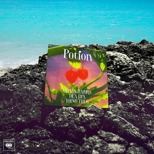 cover: Potion (with Dua Lipa & Young Thug), Calvin Harris, Gesang, Gitarre, Klavier