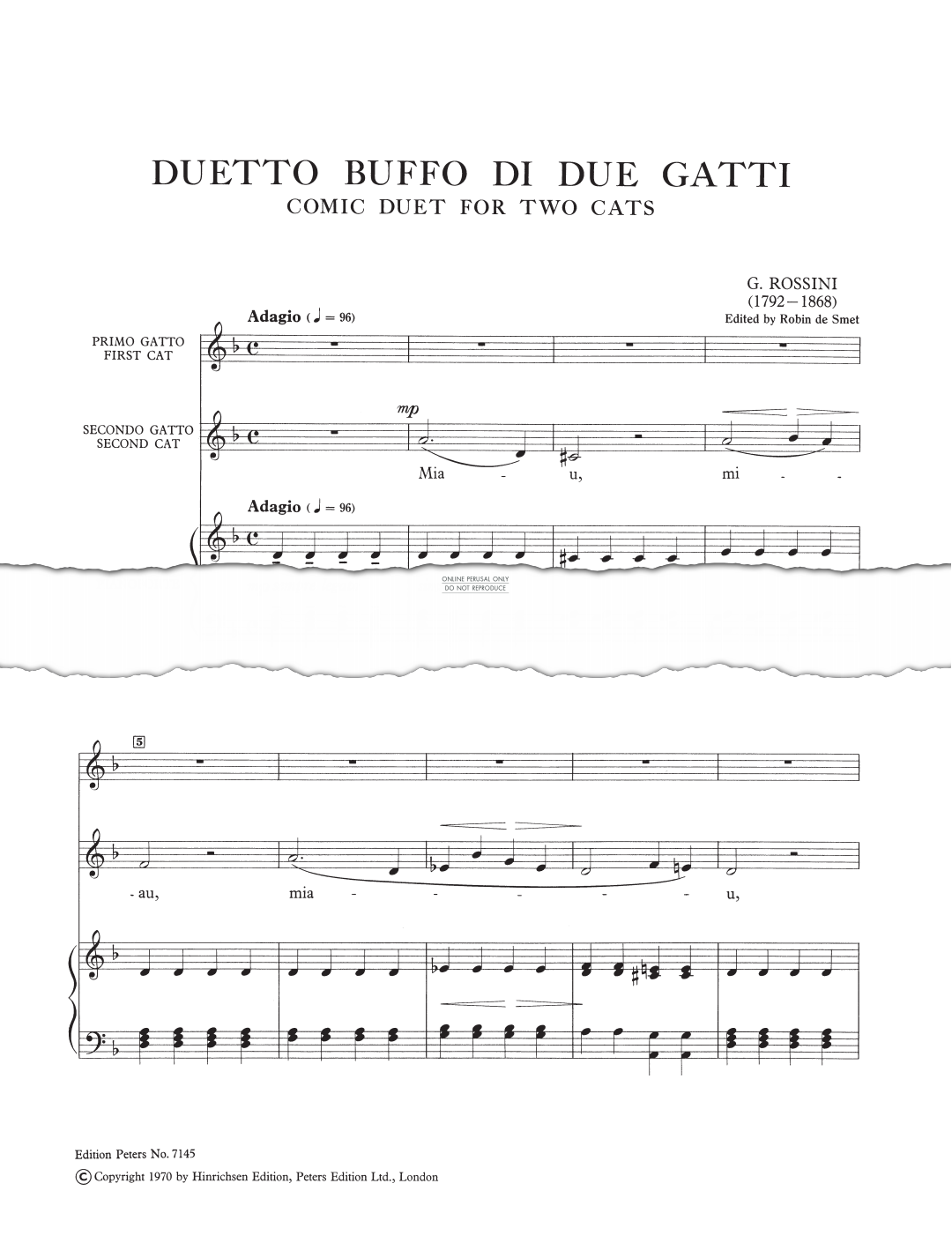 Produktbild zu: Duetto Buffo di due Gatti (Comic Duet for Two Cats)