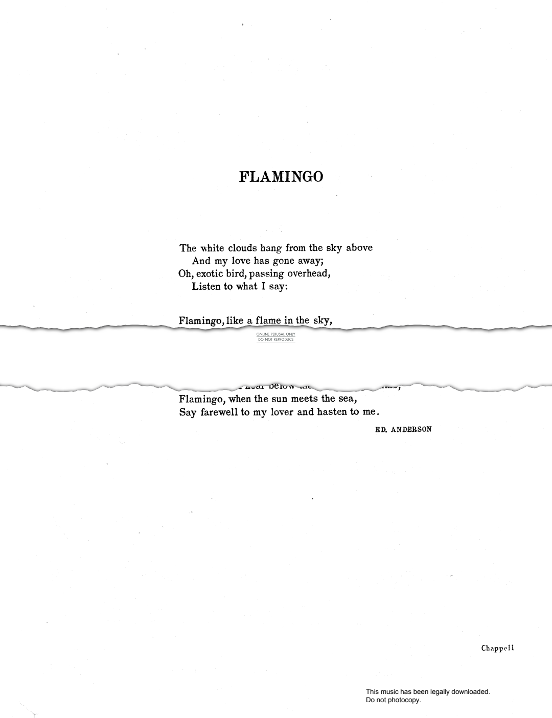 Product picture to: Flamingo