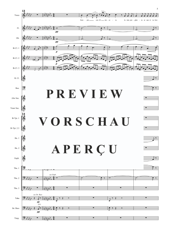 Produktgalerie: Seite 6 von 11 Vissi d'arte, , Sopran Solo und Concert Band