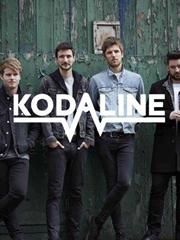 cover: Say Something, Kodaline, Gesang, Gitarre, Klavier