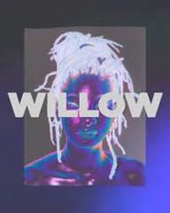cover: Symptom Of Life, Willow