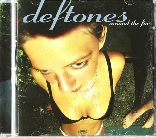 cover: My Own Summer (Shove It), Deftones