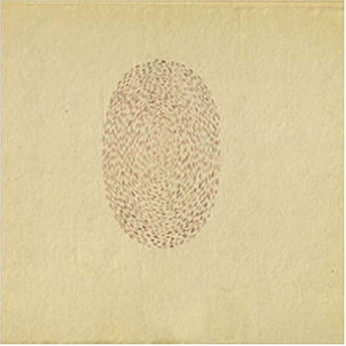 cover: At The Hop, Devendra Banhart, Gitarre