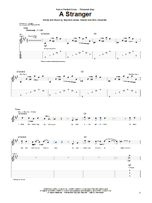Produktgalerie: Seite 1 von 1 A Stranger, A Perfect Circle, Gitarre