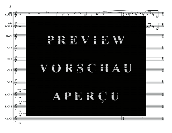 Produktgalerie: Seite 6 von 11 Bass Clarinet Double Concerto, , (Klarinetten Ensemble 2x Bass Klarinette und Klarinettenchor)