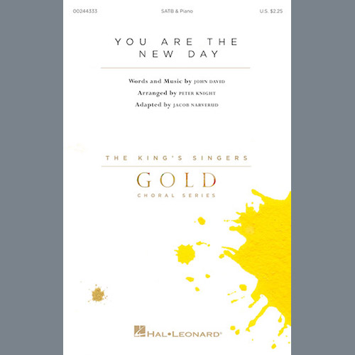 Produktbild zu: You Are The New Day (adapt. Jacob Narverud)