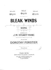 Produktbild zu: Bleak Winds
