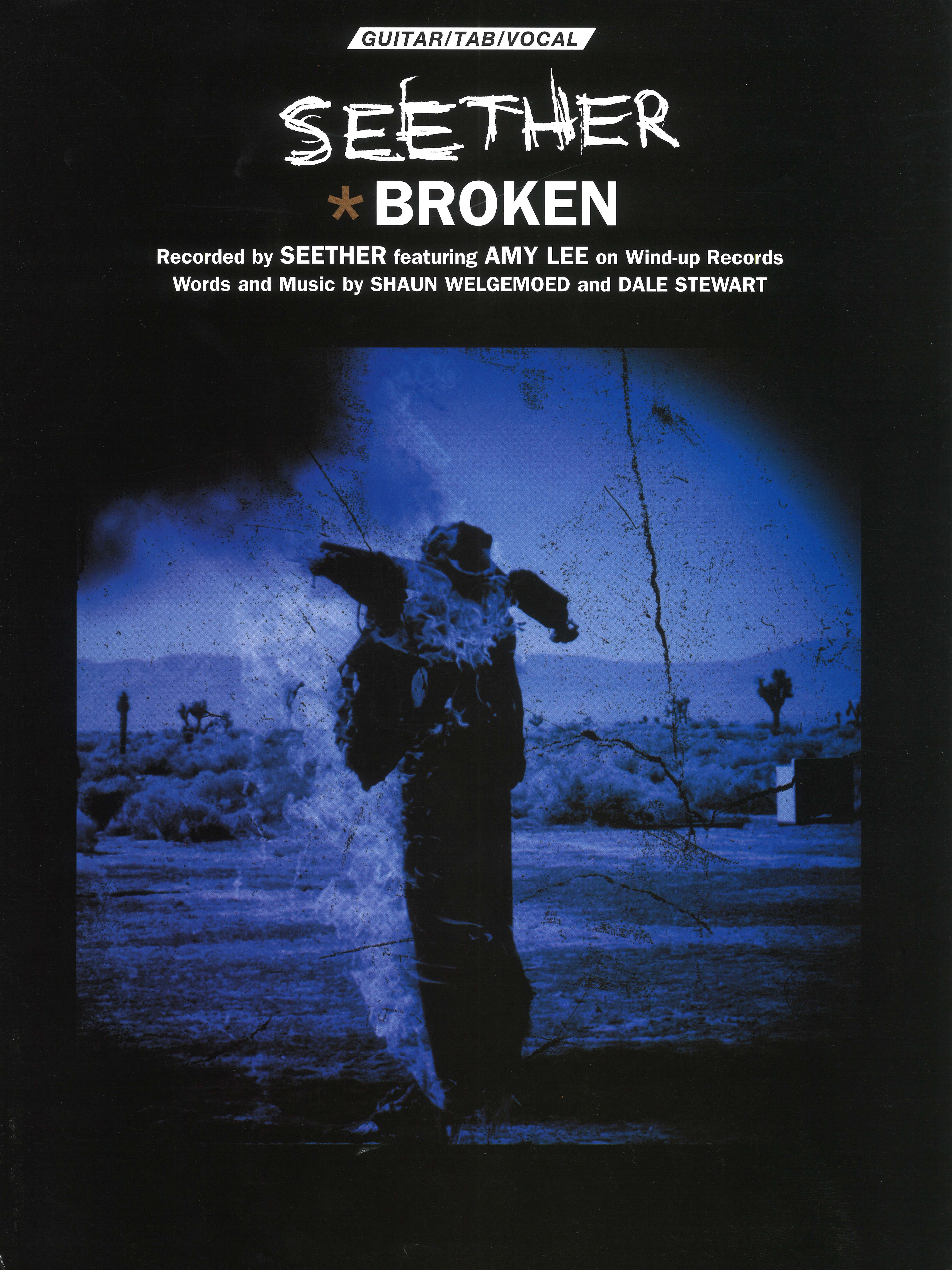 cover: Broken, Seether, Gesang, Gitarre