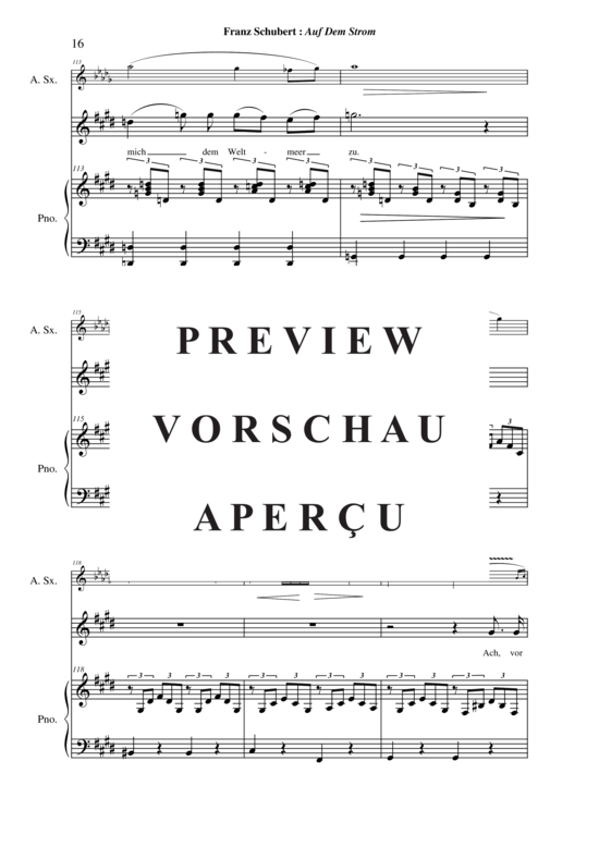 Product gallery: Page 17 of 21 Auf Dem Strom , , (vocals, alto saxophone + piano)