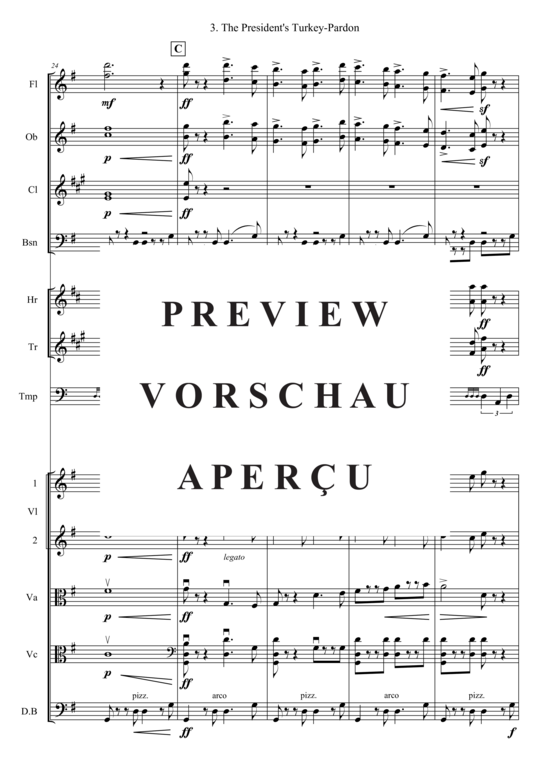 gallery: The President´s Turkey-Pardon , , (Kammerorchester)