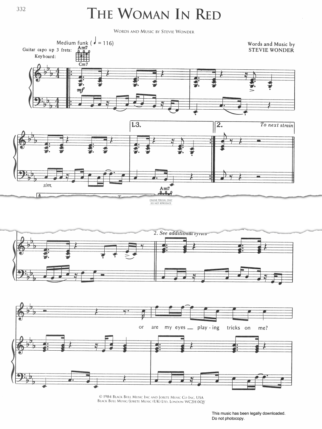 gallery: The Woman In Red, Stevie Wonder, Gesang, Gitarre, Klavier