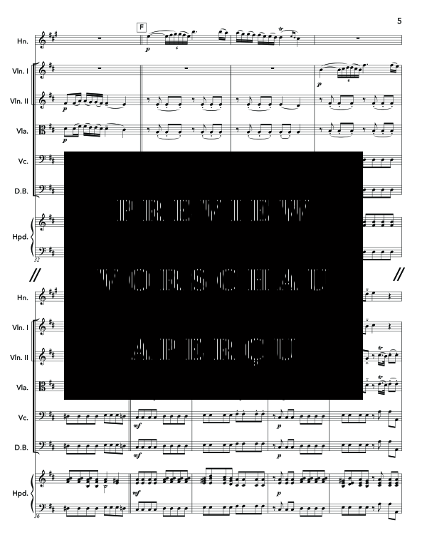 Produktgalerie: Seite 9 von 11 Sinfonia da Camera in Re, , (Horn in F Solo und Streichorchester)