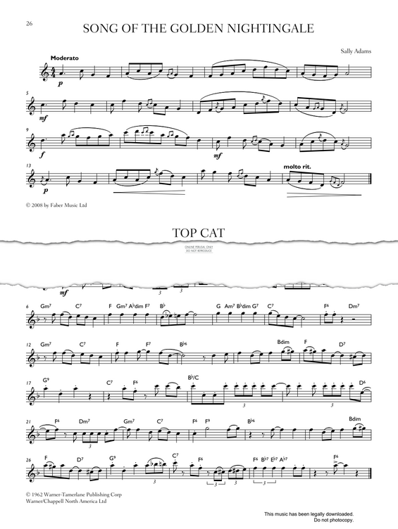 Product gallery: Page 1 of 1 Song Of The Golden Nightingale, Sally Adams