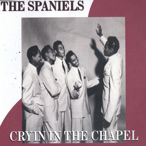 cover: Goodnight Sweetheart, The Spaniels, Gitarre