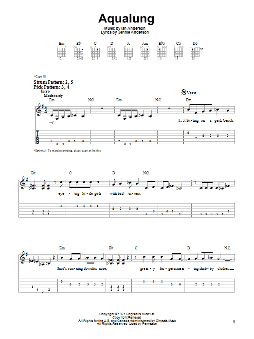 Produktgalerie: Seite 1 von 1 Aqualung, Jethro Tull, Gitarre