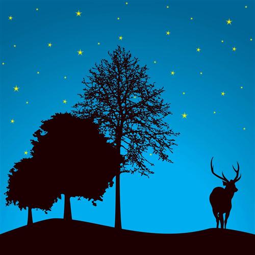 cover: Silent Night, Joseph Mohr, Klavier