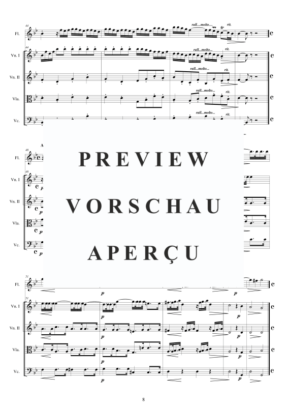 Produktgalerie: Seite 9 von 11 12 Concertos Op.5, , Querflöte Solo und Streicher Ensemble
