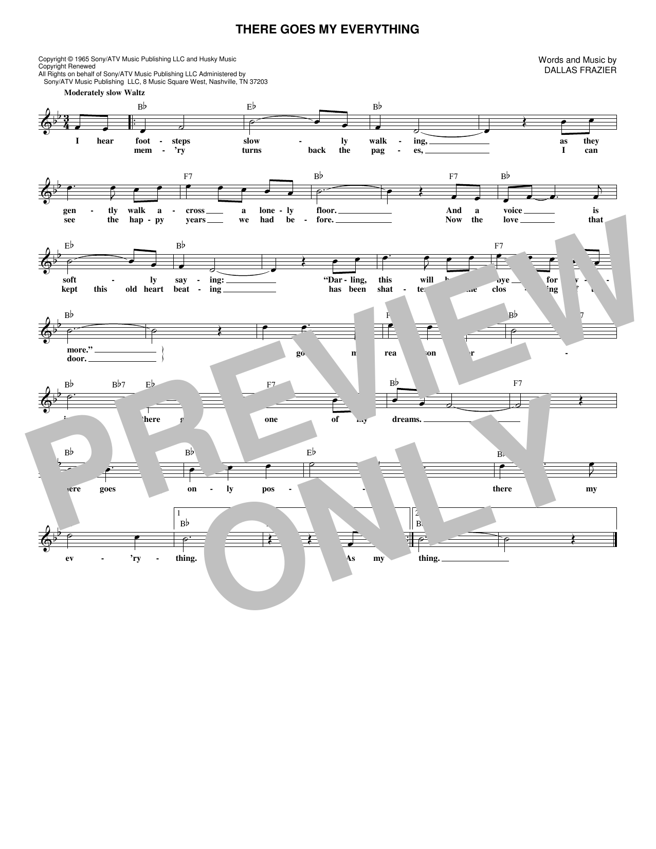 Produktbild zu: There Goes My Everything