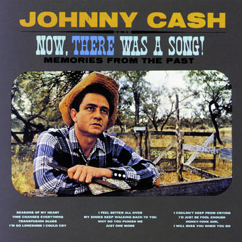 cover: I'd Just Be Fool Enough (To Fall), Johnny Cash, Gesang, Gitarre, Klavier