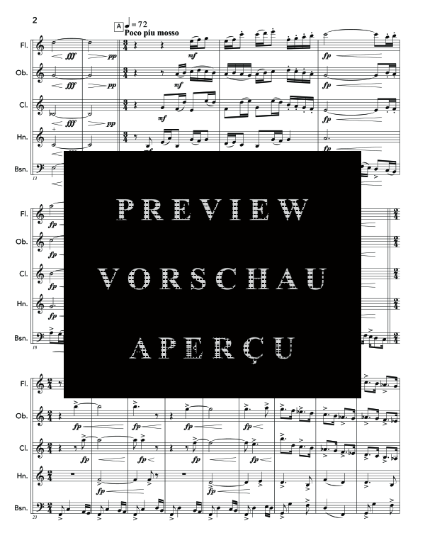 Produktgalerie: Seite 6 von 11 TAnGoRmAcIóN, , (Holzbläser Quintett)