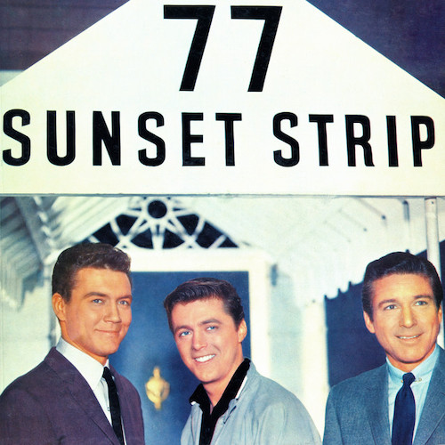 cover: 77 Sunset Strip, Don Ralke, Melodieinstrumente