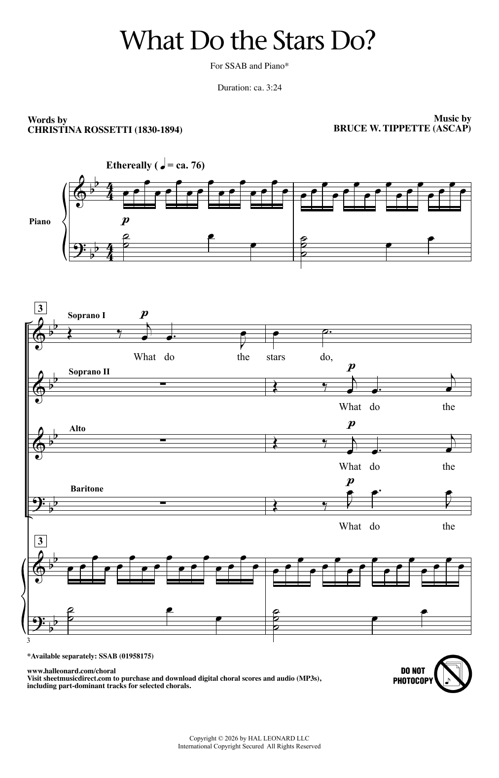 Produktgalerie: Seite 1 von 1 What Do The Stars Do?, Bruce W. Tippette